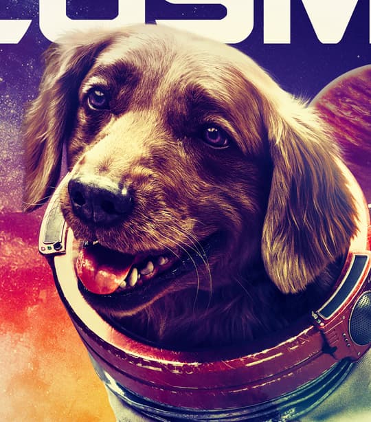 Cosmo 